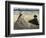 On the Beach-Edouard Manet-Framed Art Print