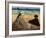 On the Beach-Edouard Manet-Framed Art Print