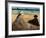 On the Beach-Edouard Manet-Framed Art Print