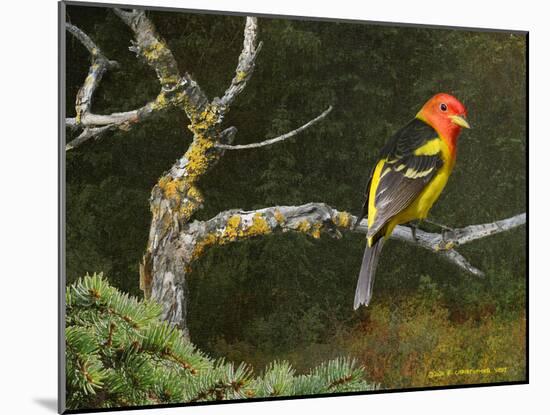 On the Branch I-Chris Vest-Mounted Art Print