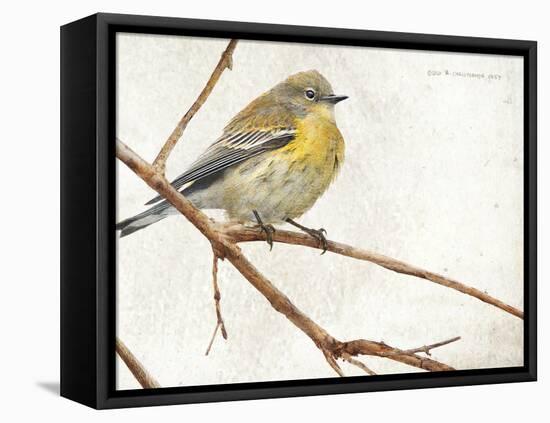 On the Branch III-Chris Vest-Framed Stretched Canvas
