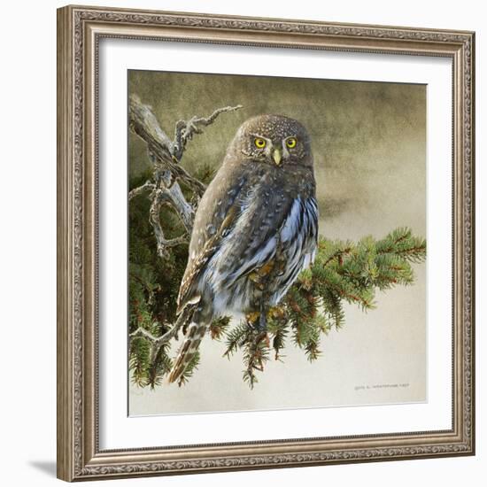 On the Branch VI-Chris Vest-Framed Art Print