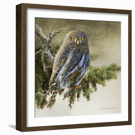 On the Branch VI-Chris Vest-Framed Art Print