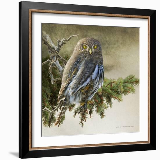 On the Branch VI-Chris Vest-Framed Art Print