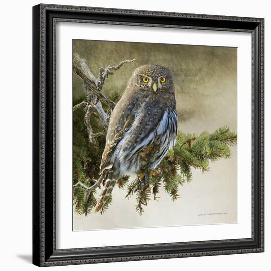 On the Branch VI-Chris Vest-Framed Art Print