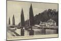 Photographic Print