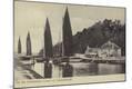 Photographic Print