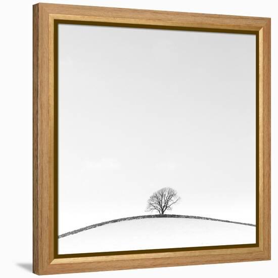 On the Crest-Doug Chinnery-Framed Premier Image Canvas