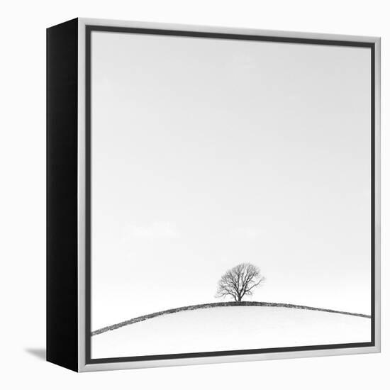 On the Crest-Doug Chinnery-Framed Premier Image Canvas