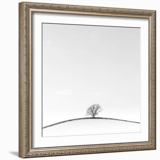 On the Crest-Doug Chinnery-Framed Photographic Print