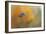 On the Cusp of Autumn-Jai Johnson-Framed Giclee Print