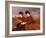 On the Downs - Two Ladies Riding Side-Saddle-James Hayllar-Framed Giclee Print