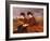 On the Downs - Two Ladies Riding Side-Saddle-James Hayllar-Framed Giclee Print