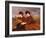 On the Downs - Two Ladies Riding Side-Saddle-James Hayllar-Framed Giclee Print