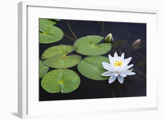 On the Edge-Michael Blanchette Photography-Framed Photographic Print