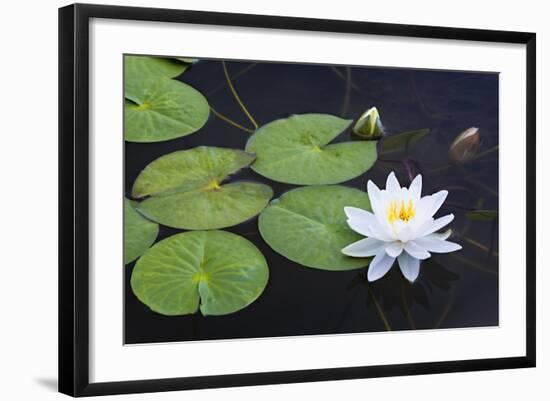 On the Edge-Michael Blanchette Photography-Framed Photographic Print
