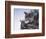 On the Edge-Rusty Frentner-Framed Giclee Print