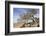 On the Flank of Mount Workamba, Tambien Region, Tigre Province, Ethiopia, Africa-Bruno Barbier-Framed Photographic Print