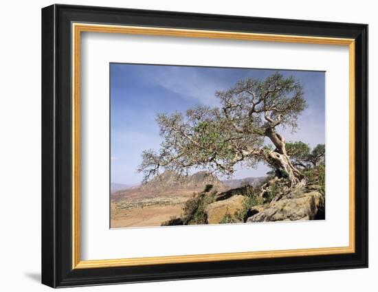 On the Flank of Mount Workamba, Tambien Region, Tigre Province, Ethiopia, Africa-Bruno Barbier-Framed Photographic Print