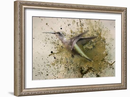 On The Fly-Jai Johnson-Framed Giclee Print