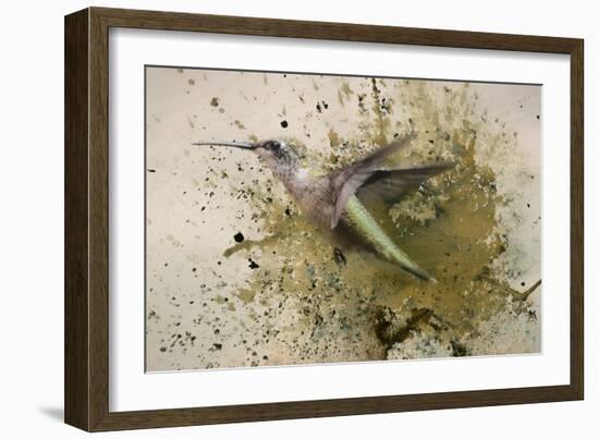 On The Fly-Jai Johnson-Framed Giclee Print