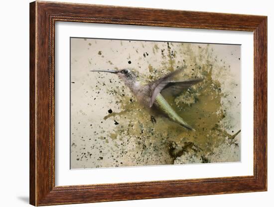 On The Fly-Jai Johnson-Framed Giclee Print