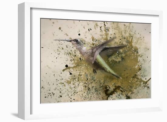 On The Fly-Jai Johnson-Framed Giclee Print