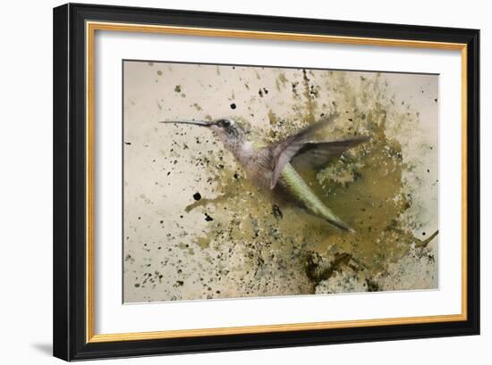 On The Fly-Jai Johnson-Framed Giclee Print