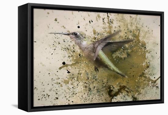 On The Fly-Jai Johnson-Framed Premier Image Canvas