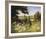 On the Footpath-Mary Dipnall-Framed Giclee Print