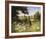 On the Footpath-Mary Dipnall-Framed Giclee Print