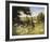 On the Footpath-Mary Dipnall-Framed Giclee Print