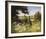 On the Footpath-Mary Dipnall-Framed Giclee Print