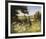 On the Footpath-Mary Dipnall-Framed Giclee Print