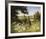 On the Footpath-Mary Dipnall-Framed Giclee Print