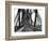 On the Forth Bridge, C.1890-null-Framed Photographic Print