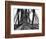 On the Forth Bridge, C.1890-null-Framed Photographic Print