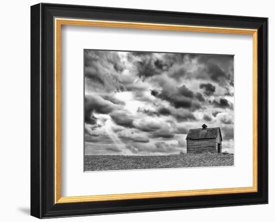 On the Hill-Trent Foltz-Framed Art Print