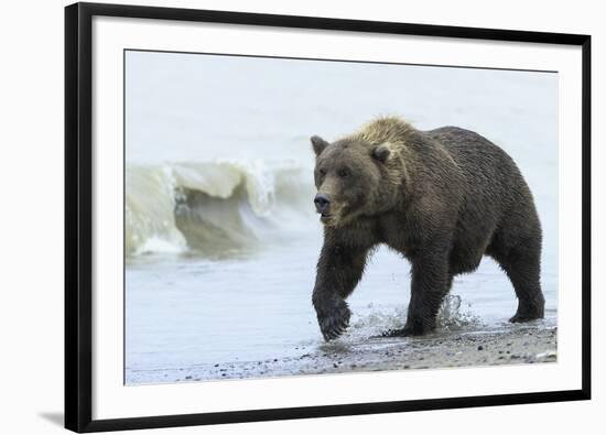 On the Hunt-Wink Gaines-Framed Giclee Print