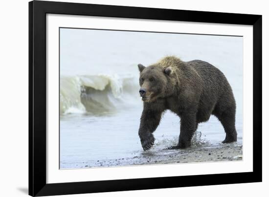 On the Hunt-Wink Gaines-Framed Giclee Print