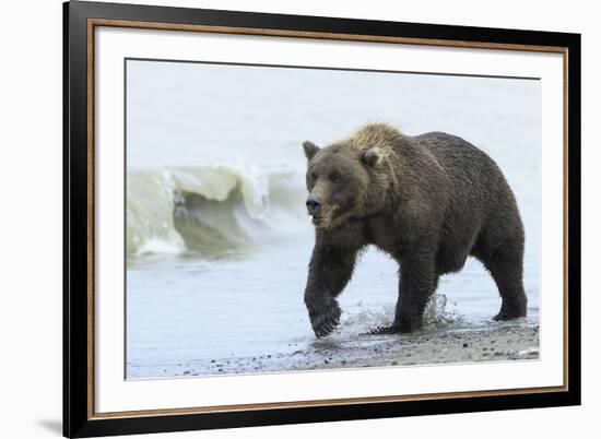 On the Hunt-Wink Gaines-Framed Giclee Print