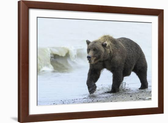 On the Hunt-Wink Gaines-Framed Giclee Print