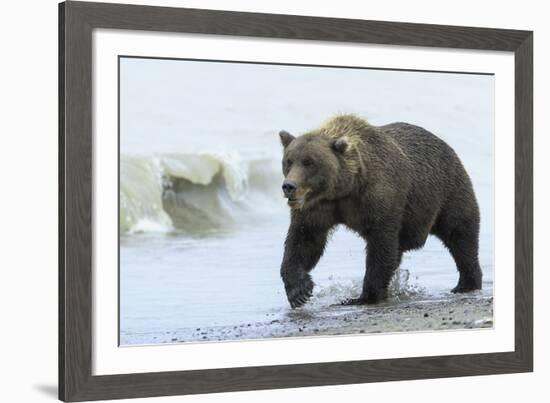 On the Hunt-Wink Gaines-Framed Giclee Print