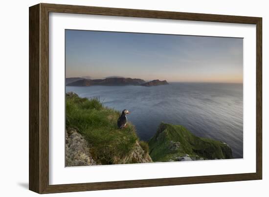 On the lookout-Olof Petterson-Framed Photographic Print