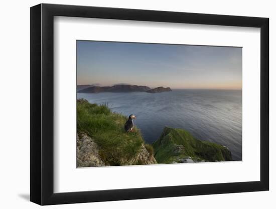 On the lookout-Olof Petterson-Framed Photographic Print
