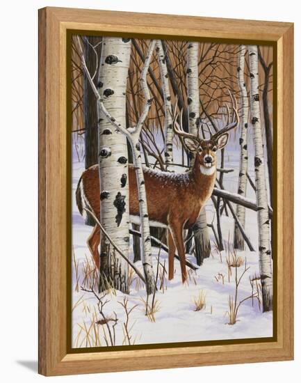 On the Lookout-William Vanderdasson-Framed Premier Image Canvas