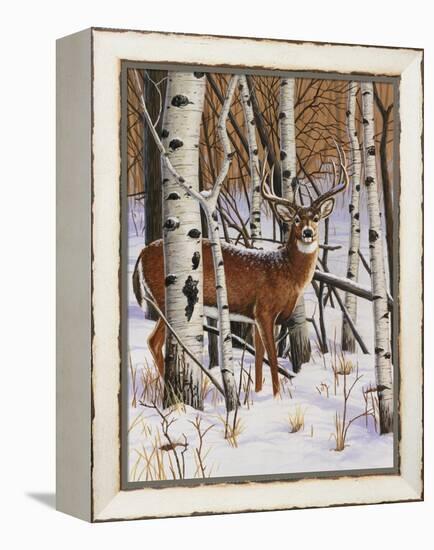 On the Lookout-William Vanderdasson-Framed Premier Image Canvas