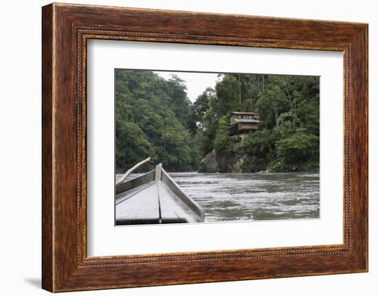 On the Madre De Dios River, Peru, South America-Peter Groenendijk-Framed Photographic Print