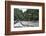 On the Madre De Dios River, Peru, South America-Peter Groenendijk-Framed Photographic Print