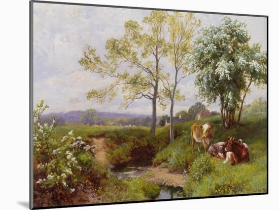 On the Minnow Stream, Dorking, Surrey-Charles Collins-Mounted Giclee Print